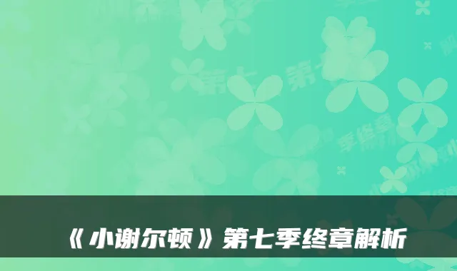 《小谢尔顿》第七季终章解析