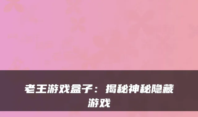 老王游戏盒子：揭秘神秘隐藏游戏