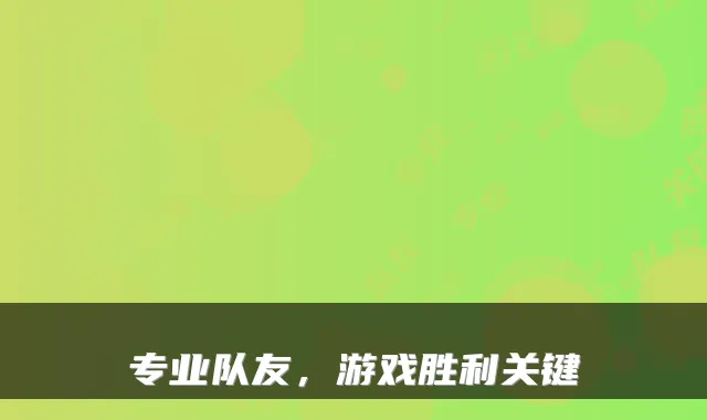 专业队友，游戏胜利关键