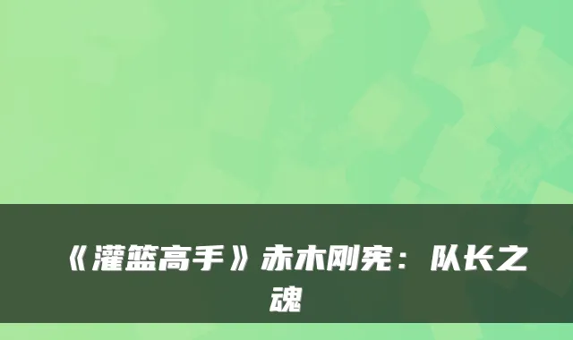 《灌篮高手》赤木刚宪：队长之魂