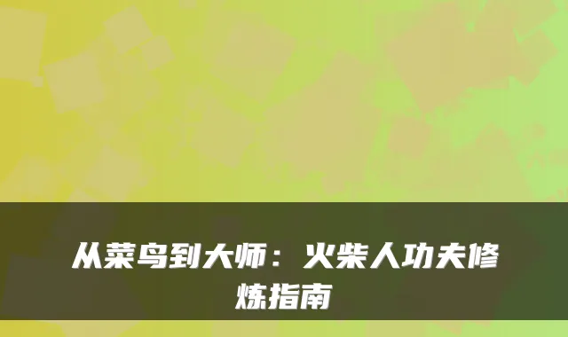 从菜鸟到大师：火柴人功夫修炼指南