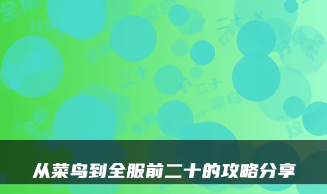 从菜鸟到全服前二十的攻略分享