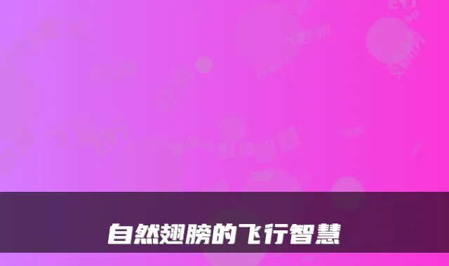 自然翅膀的飞行智慧