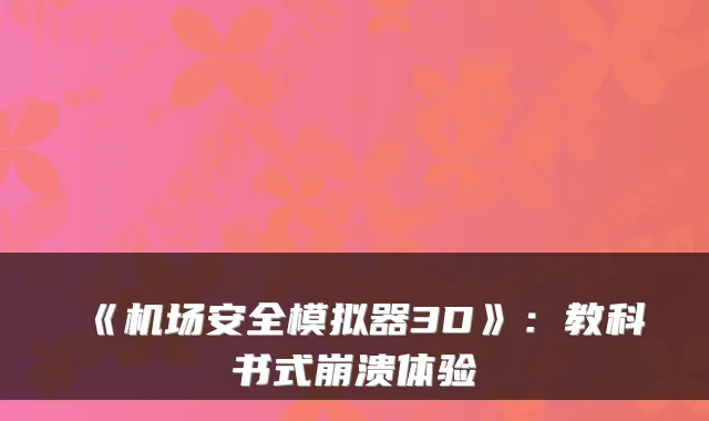 《机场安全模拟器3D》：教科书式崩溃体验