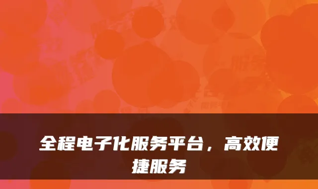 全程电子化服务平台，高效便捷服务