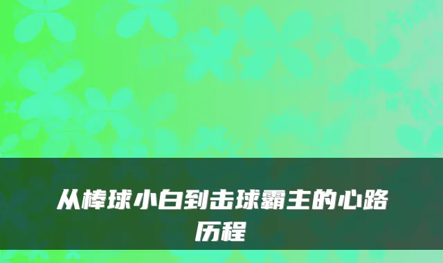 从棒球小白到击球霸主的心路历程