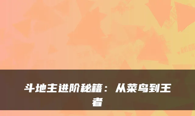 斗地主进阶秘籍:从菜鸟到王者