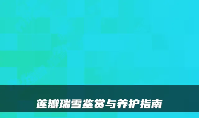 莲瓣瑞雪鉴赏与养护指南