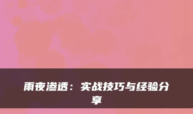 雨夜渗透:实战技巧与经验分享