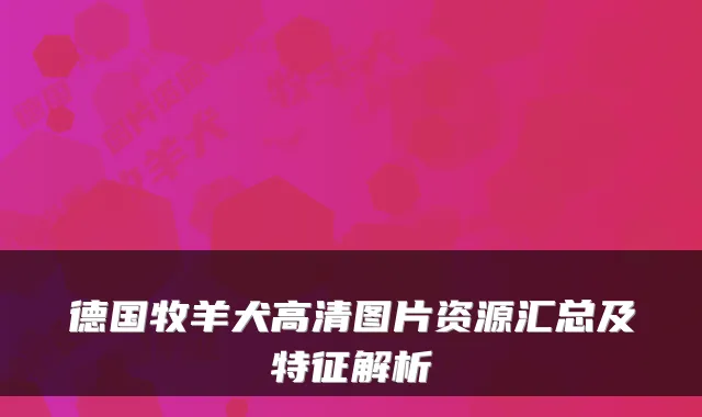 德国牧羊犬高清图片资源汇总及特征解析