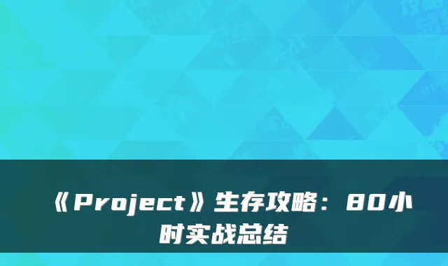 《Project》生存攻略:80小时实战总结