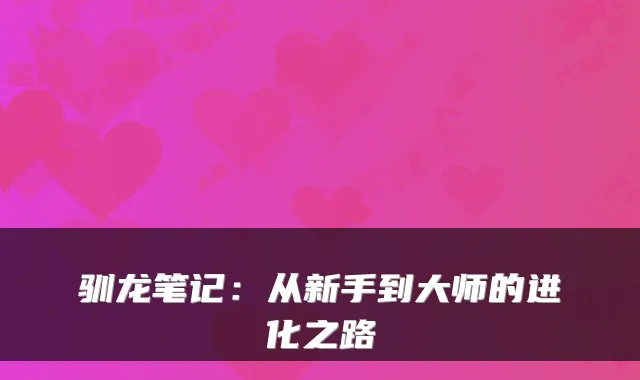 驯龙笔记：从新手到大师的进化之路