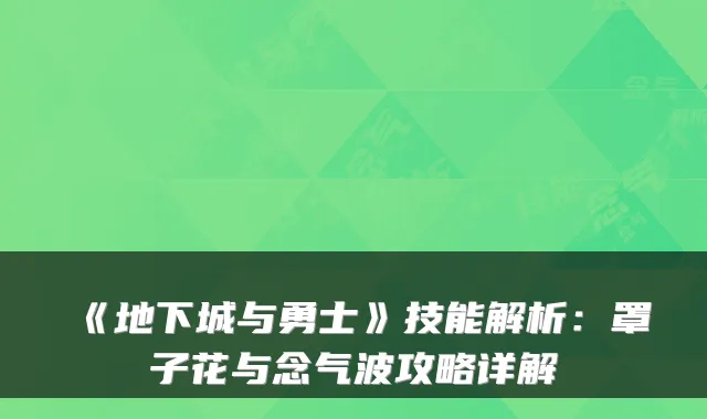 《地下城与勇士》技能解析：罩子花与念气波攻略详解