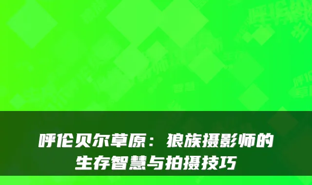 呼伦贝尔草原：狼族摄影师的生存智慧与拍摄技巧