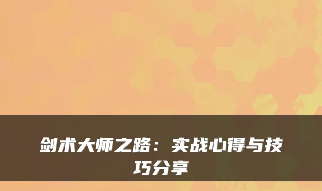 剑术大师之路：实战心得与技巧分享