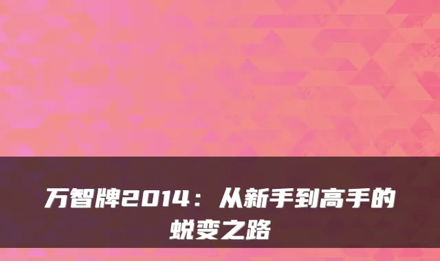 万智牌2014：从新手到高手的蜕变之路