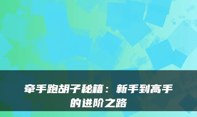 牵手跑胡子秘籍：新手到高手的进阶之路
