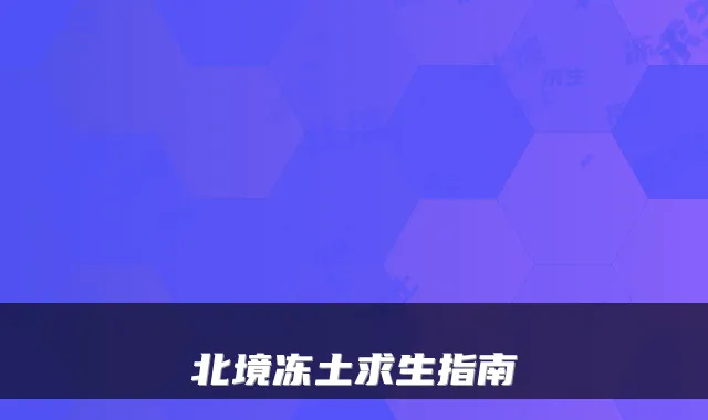 北境冻土求生指南