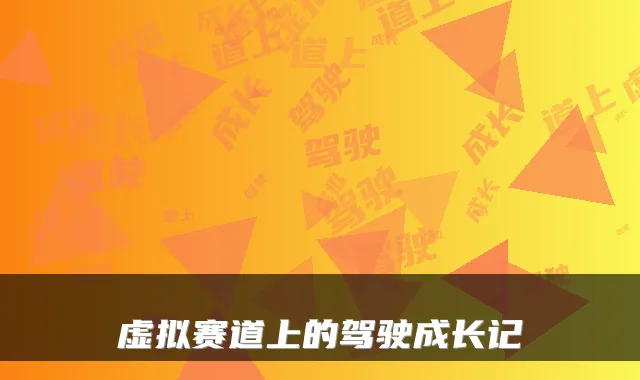 虚拟赛道上的驾驶成长记