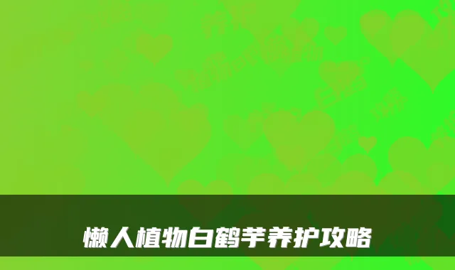 懒人植物白鹤芋养护攻略