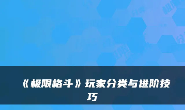 《极限格斗》玩家分类与进阶技巧