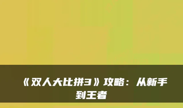 《双人大比拼3》攻略：从新手到王者