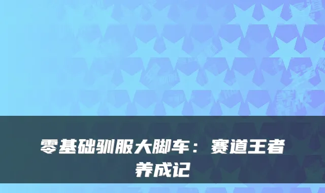 零基础驯服大脚车:赛道王者养成记
