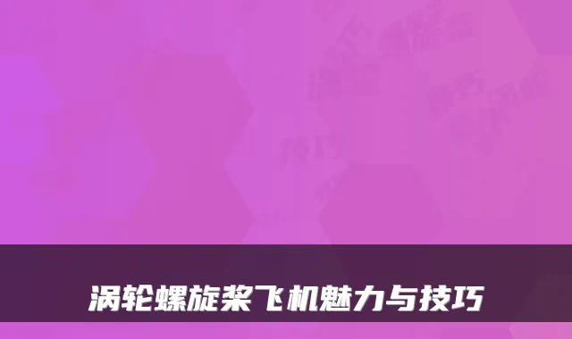 涡轮螺旋桨飞机魅力与技巧