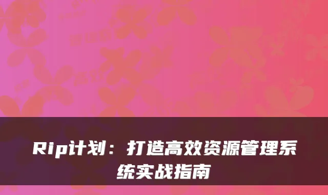 Rip计划：打造高效资源管理系统实战指南