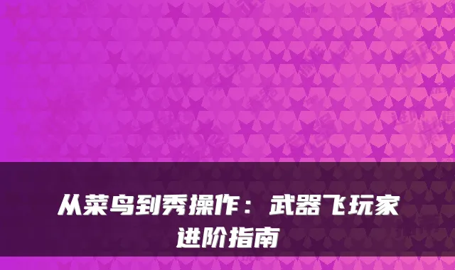 从菜鸟到秀操作：武器飞玩家进阶指南