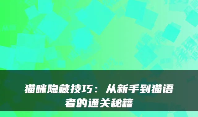 猫咪隐藏技巧：从新手到猫语者的通关秘籍