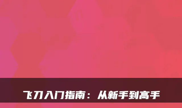 飞刀入门指南：从新手到高手