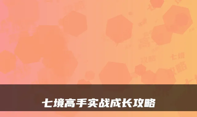 七境高手实战成长攻略