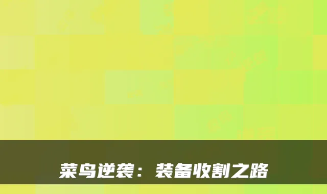 菜鸟逆袭:装备收割之路