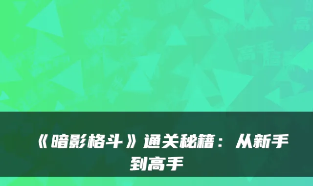 《暗影格斗》通关秘籍：从新手到高手