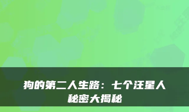 狗的第二人生路：七个汪星人秘密大揭秘