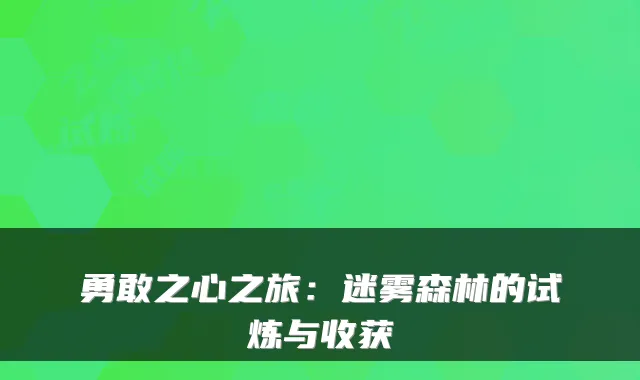 勇敢之心之旅：迷雾森林的试炼与收获