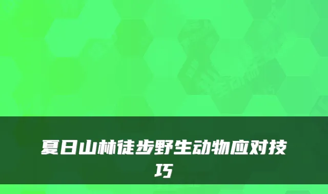 夏日山林徒步野生动物应对技巧