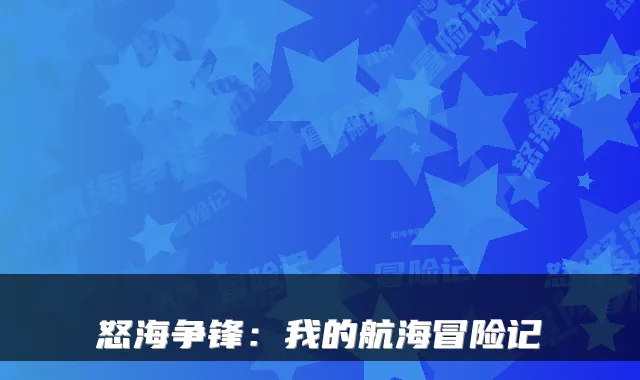 怒海争锋：我的航海冒险记