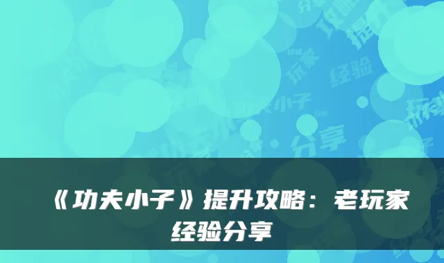 《功夫小子》提升攻略：老玩家经验分享