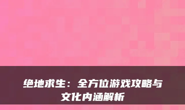 绝地求生：全方位游戏攻略与文化内涵解析