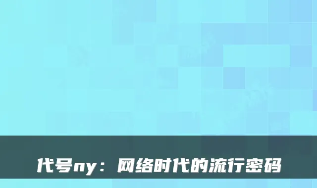 代号ny:网络时代的流行密码