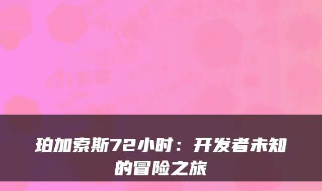 珀加索斯72小时：开发者未知的冒险之旅