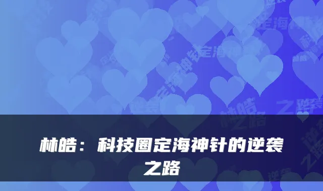林皓：科技圈定海神针的逆袭之路