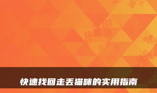 快速找回走丢猫咪的实用指南