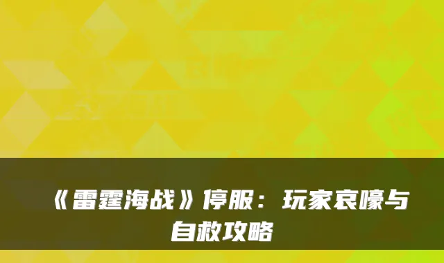《雷霆海战》停服:玩家哀嚎与自救攻略