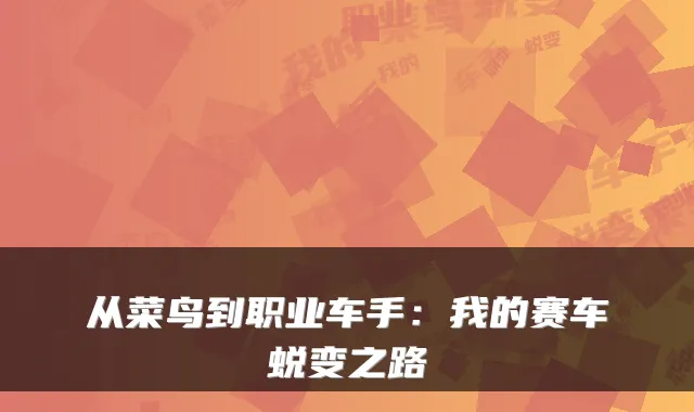 从菜鸟到职业车手：我的赛车蜕变之路