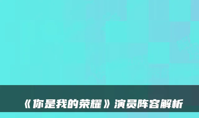 《你是我的荣耀》演员阵容解析