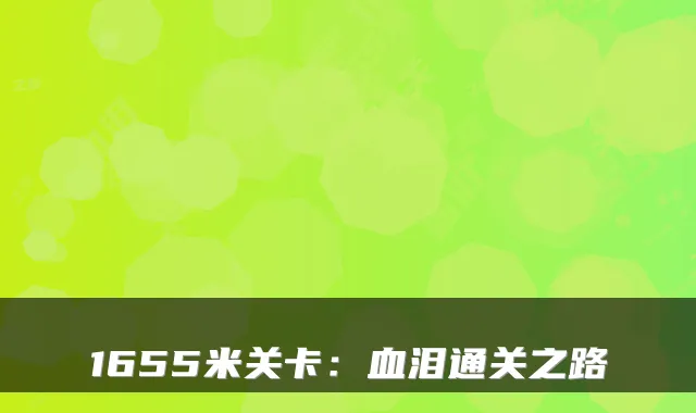 1655米关卡:血泪通关之路