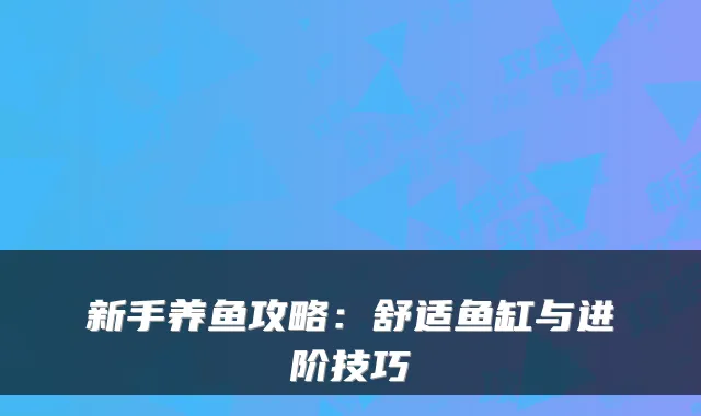 新手养鱼攻略：舒适鱼缸与进阶技巧